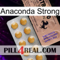 Anaconda Strong 41